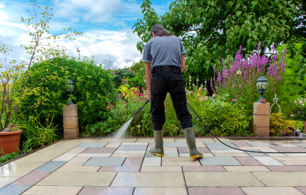 Best Fence Cleaning  in Romoland, CA