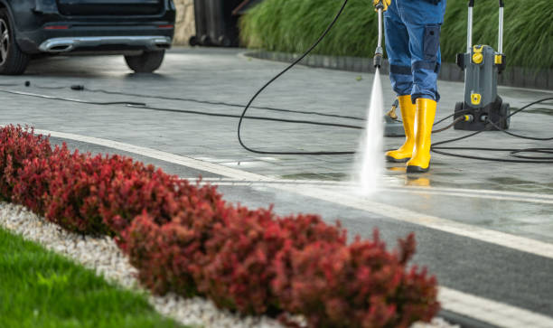 Best Sidewalk and Walkway Cleaning  in Romoland, CA